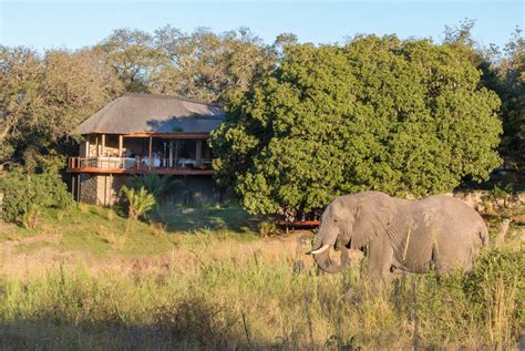 Dulini River Lodge, Sabi Sand Game Reserve | Holidays 2020 ...