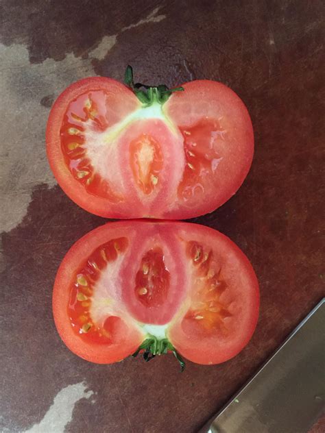 A Tomato Growing Inside Of A Tomato Rmildlyinteresting