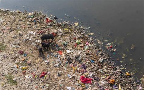 Top 10 Most Polluted Rivers In The World Greentumble