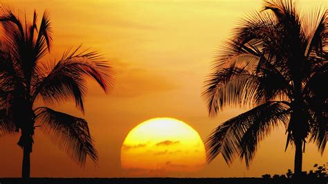Hawaiian Sunset Papel De Parede Hd Plano De Fundo 1920x1080 Id