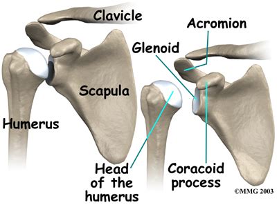 Anamnesis edit  injuries in and around the shoulder usually give pain in the (upper)arm and sometimes in the area of the m. Sew Many Things: Why is "Yoga" bad for "Runners"?