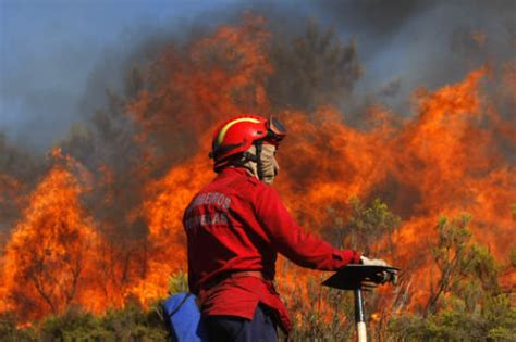 Em lisboa o sol brilha 239 dias no ano! Seis grandes incêndios activos em Portugal
