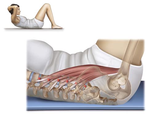 Psoas Muscle Function