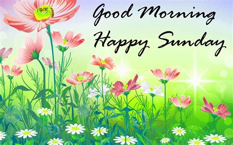 Good Morning Happy Sunday Flowers 1702x1065 Wallpaper