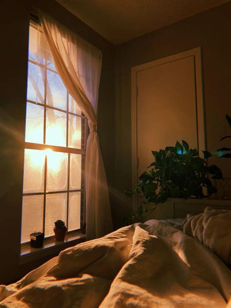 sunrise   east facing bedroom aesthetic window window aesthetic