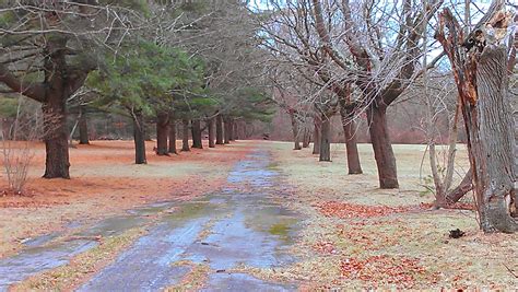 Central Islip State Hospital Grounds Cemetery In Central Islip New York Find A Grave Cemetery