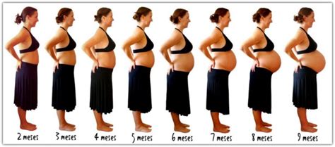 Fotos Da Barriga Com 8 Meses De Gravidez Gestação Bebê