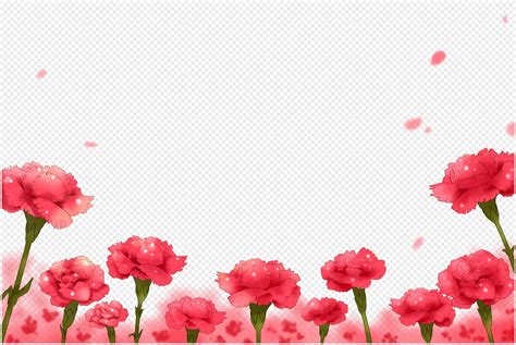 Pngtree는 카네이션 png 및 벡터 이미지뿐만 아니라 투명 한 배경 카네이션 클립 아트 이미지와 psd 파일을 제공합니다. 카네이션 이미지 _사진 401193574 무료 다운로드_lovepik.com