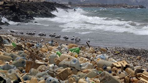 Skup I Poguban Problem Zagađenje Mora Plastikom Svjetsku Ekonomiju