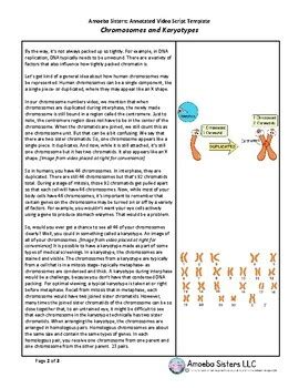 Than the cells of eukaryotes. Chromosomes and Karyotypes Annotated Video Script TEMPLATE ...
