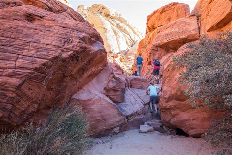 Exploring The Finest Trail In Red Rock Canyon