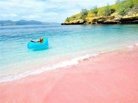 Stunning Pink Beach In Komodo Indonesia 15 Pics