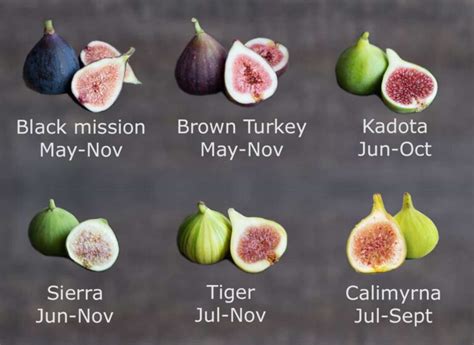 Figs Season Varieties Ripeness Scale And 25 Recipes