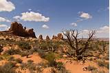Desert Landscape Images