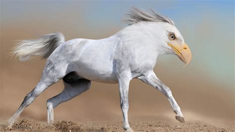 26 Photoshopped Animal Hybrids That Are Straight Out Of A Movie Photos