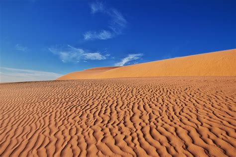 Dunas En El Desierto Del Sahara En El Corazón De áfrica Foto Premium