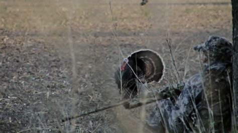 Gannett Ridge Hunting Equipment Blog Archery Turkey Shot Placement
