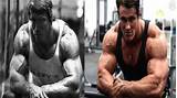 Free Bodybuilding Training Pictures