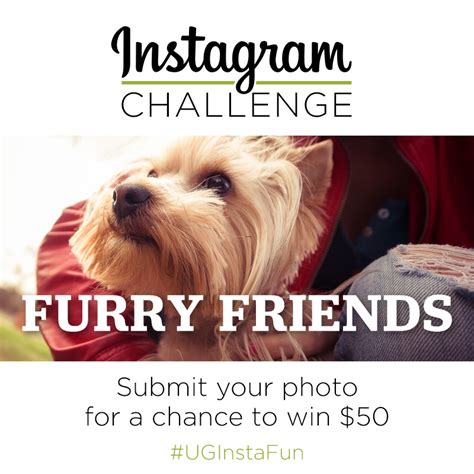 Instagram Challenge Furry Friends The Goods
