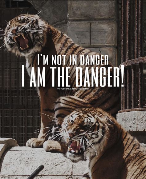 Tiger Motivational Quotes 🐅 On Instagram Do You Agree With That 🐅