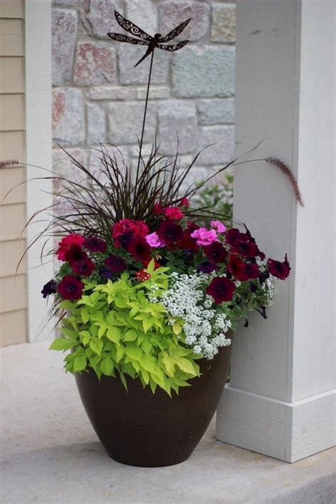 15 Most Beautiful Container Gardening Flowers Ideas For Your Home Front