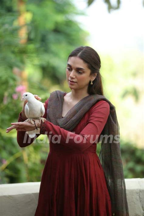 Aditi Rao Hydari In Her Debut Malayalam Film Sufiyum Sujatayum Photo
