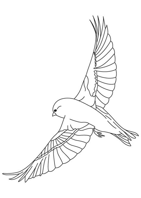 Finches Flying Coloring Page Download Free Finches Flying Coloring Home