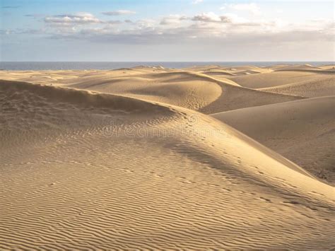 Famous Natural Park Maspalomas Dunes In Gran Canaria At Sunset Canary