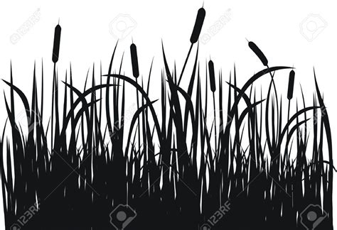 Reeds Images Stock Pictures Royalty Free Reeds Photos And Stock