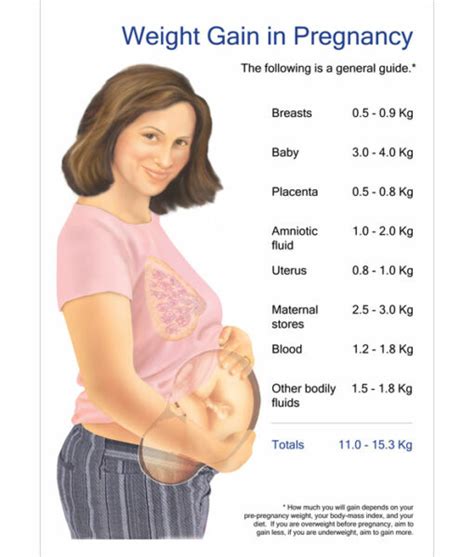 Weight Gain In Pregnancy Chart