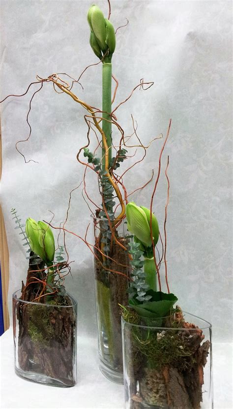 Auch ein schöner hingucker ist eine große vase mit den weißen traubenhyazinthen. Pin von Anita Uebelhack auf Floristik