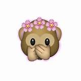 Flower Crown Emoji Pictures