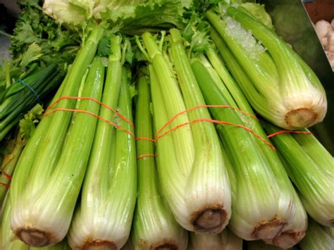 11 Celery Apium Flickr