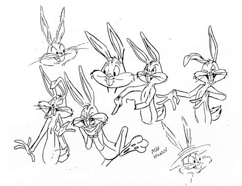 Character Design Looney Tunes Looney Tunes Characters Looney Tunes