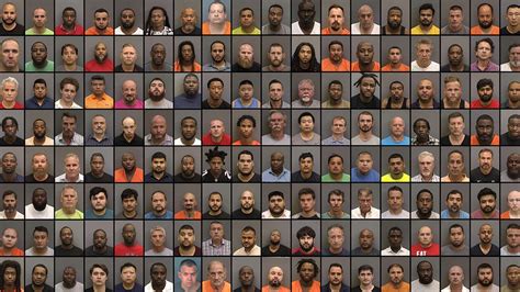 Hillsborough Sheriff Over 170 Arrests Made During Four Month Human