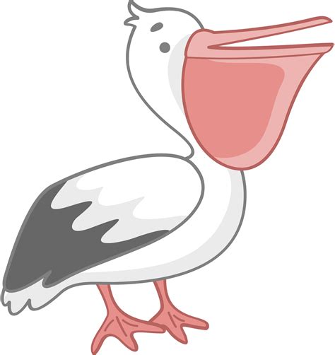 3500 Pelican Illustrations Royalty Free Vector Graphics And Clip