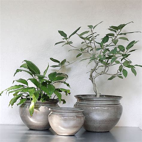 Beautiful Brown Pot For Indoor Plants Mora Taara Home Decor