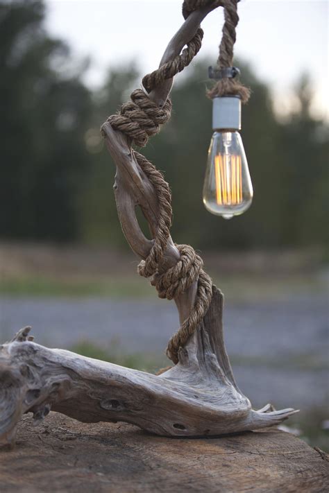 A Light Bulb Hanging From A Rope On Top Of A Tree Stump In The Woods