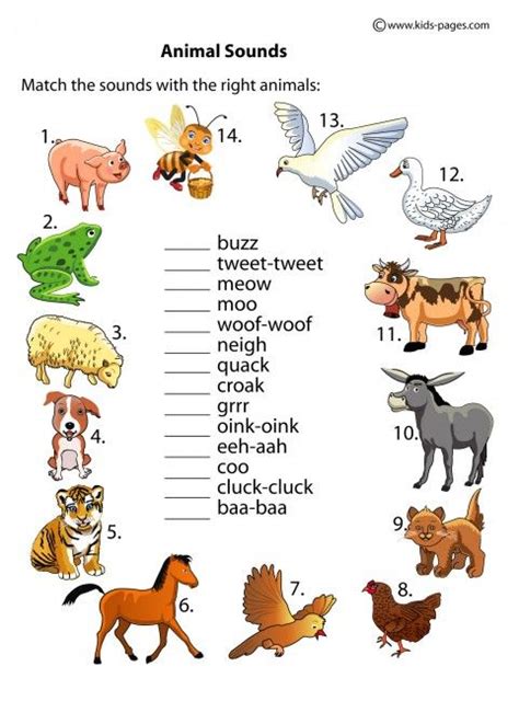 Sounds Of Animals List - Home School