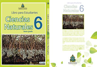 Primaria sexto grado ciencias naturales libro de texto. Libro De Ciencias Naturales Sexto Grado - Libros Favorito