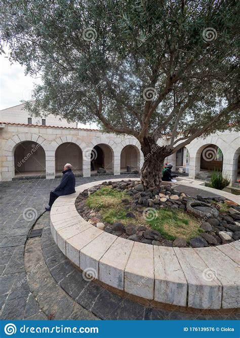 Church Of Multiplication Courtyard At Tabgha Israel Editorial Photo