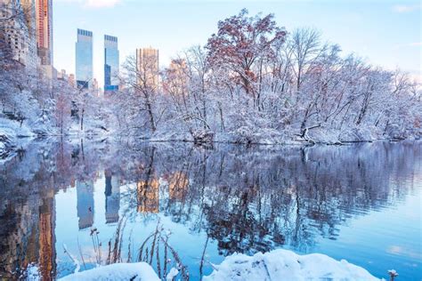 Central Park New York Usa In Winter Covered With Snow Stock Image