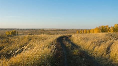 Field Landscape Road In Field Stock Footage Video 100 Royalty Free