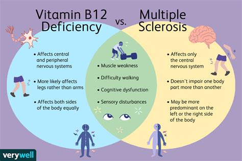 Vitamin b12 is an essential vitamin that the body needs to support cognitive functioning, energy production, mental and cardiovascular health. Vitamin B12 Deficiency and Multiple Sclerosis