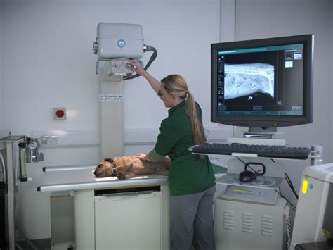 The Best Accredited Online Radiology Technician Programs  ASO