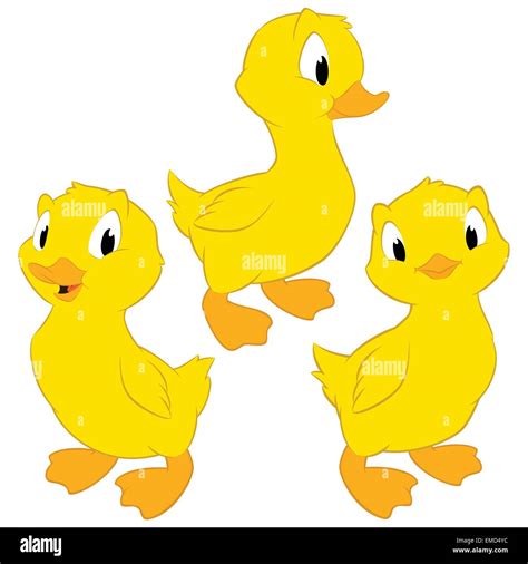 Cartoon Baby Ducks Imagen Vector De Stock Alamy