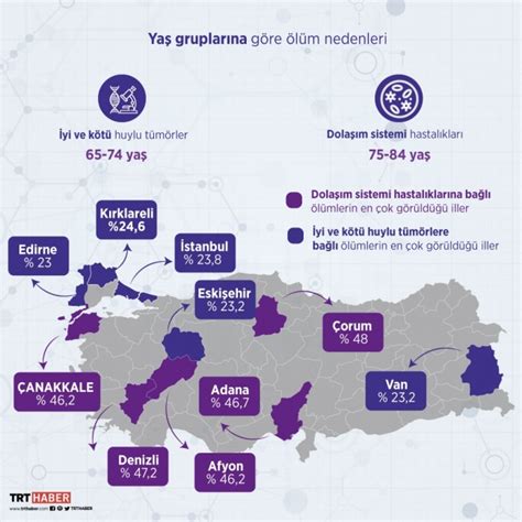 Tüi̇k ana sayfa veri portalı haber bülteni̇ yayim tari̇hi̇: 2018 yılı ölüm istatistikleri - Son Dakika Haberleri