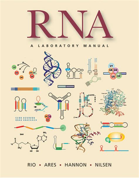 To understand more about rnai and learn how we are. A Review of the Methods for Processing High-Throughput RNA ...