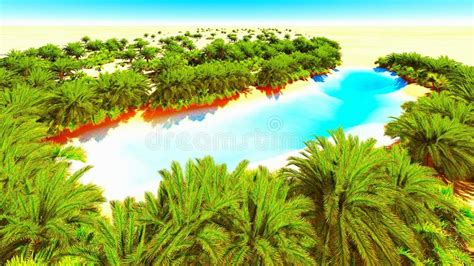African Oasis Stock Image Image Of Palm Paradise Heat 56648609