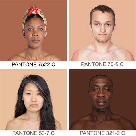 A Color Palette Of Human Skin Tones Human Skin Color Skin Palette